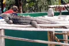 Cuba 2018 -  Zoo  (13)