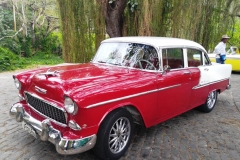 Cuba 2018 -  Cars  (12)