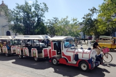 Cuba 2018 -  Cars  (26)