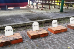 Cuba 2018 -  Hemmingway  (11)