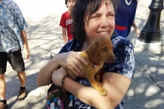 Cuba 2018 -  Tourist Stuff  (31)