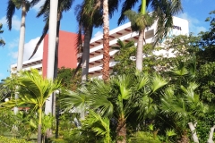 Cuba 2018 -  Tourist Stuff  (87)