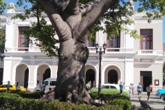 Cuba 2018 -  Tourist Stuff  (89)