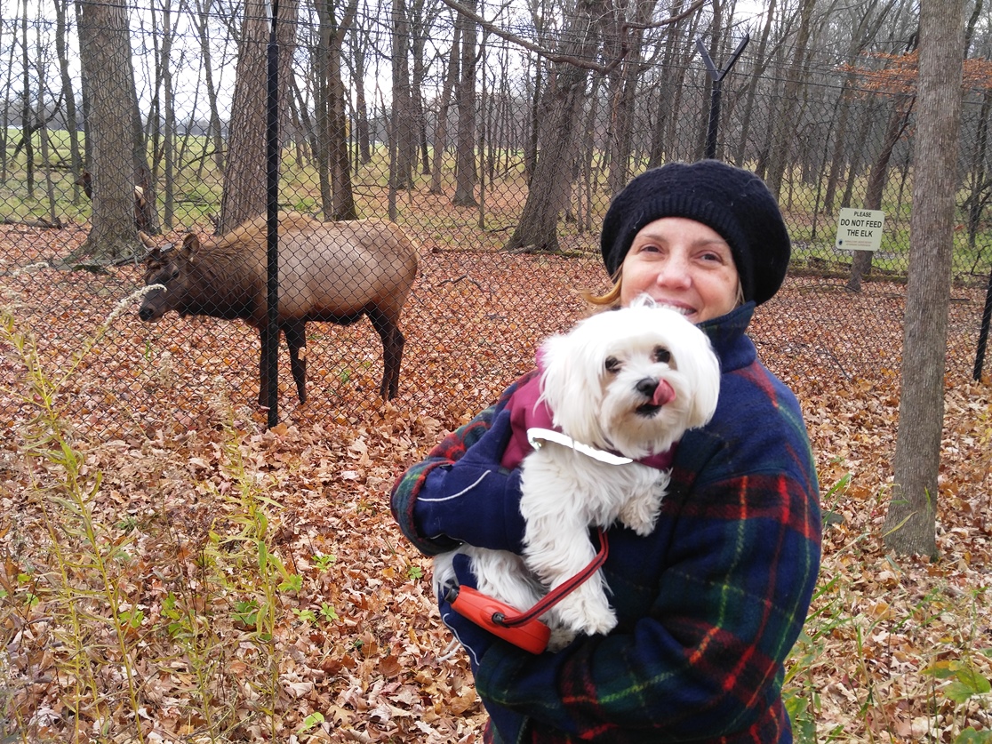Carol and Pula and the Elk 1
