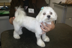 Pula after a day at the SPA!