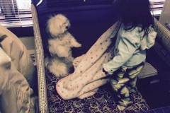 Pula and Indie