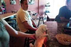 Pula at the distillery 8.2014
