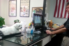 Pula at work again