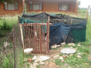 Mpho's first construction Project