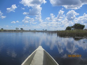 Boat ride on the delta - there are no signs of humans anywhere