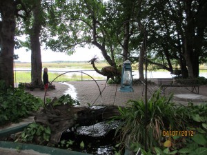 The view from the dinning area