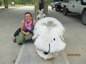 I am next to and elephant skull at the reserve enterance