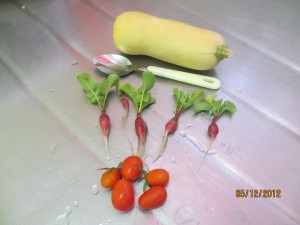 The meager fruits of our garden - This is the entire harvest to date!