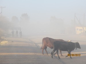 The last mile before school requires each child to breath in at least 1T of dust and dung