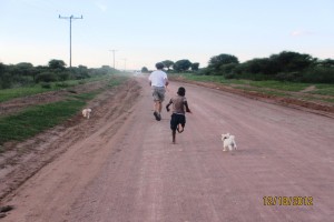 John and Price running healthy puppies