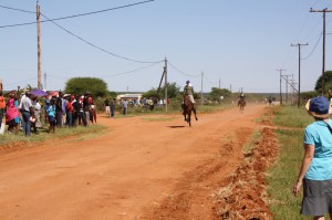 Here come the horses