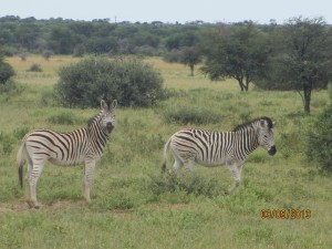 JK-comes-to-Africa_103