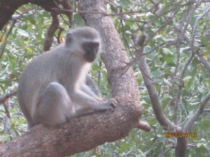 JK-comes-to-Africa_48