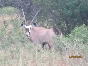 JK-comes-to-Africa_63