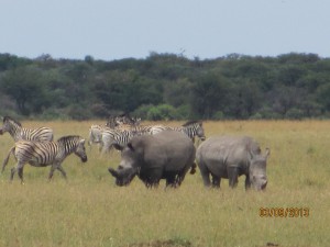  JK-comes-to-Africa_99