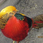 Cape-Town-South-Africa-2013_032.jpg