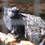 Cape-Town-South-Africa-2013_037.jpg