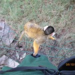 Cape-Town-South-Africa-2013_047.jpg