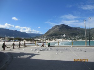 Cape-Town-South-Africa-2013_076.jpg