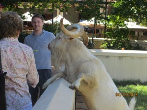 Cape-Town-South-Africa-2013_093.jpg