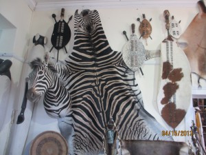 Cape-Town-South-Africa-2013_198.jpg