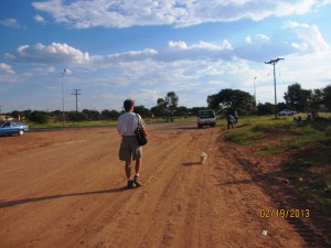 Walking the dogs